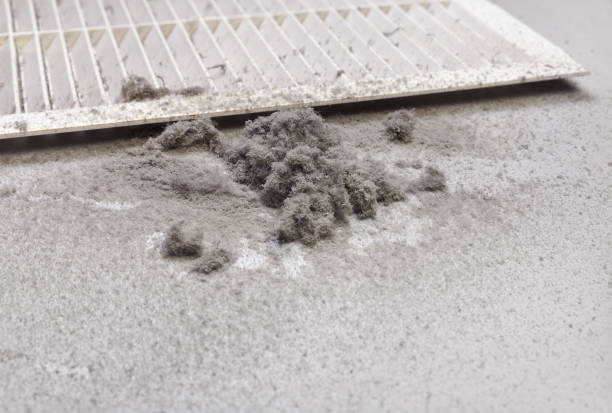Air Duct Mold Removal in Millville, DE